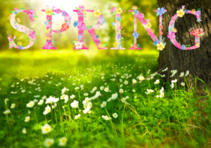 Naturopathic Tips This Spring Posoter